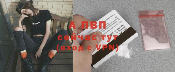 тгк Богородск