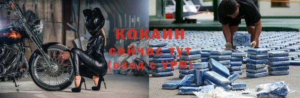 дмт Осинники