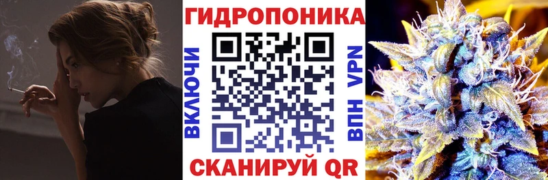 Бошки Шишки Bruce Banner  где найти наркотики  Ветлуга 